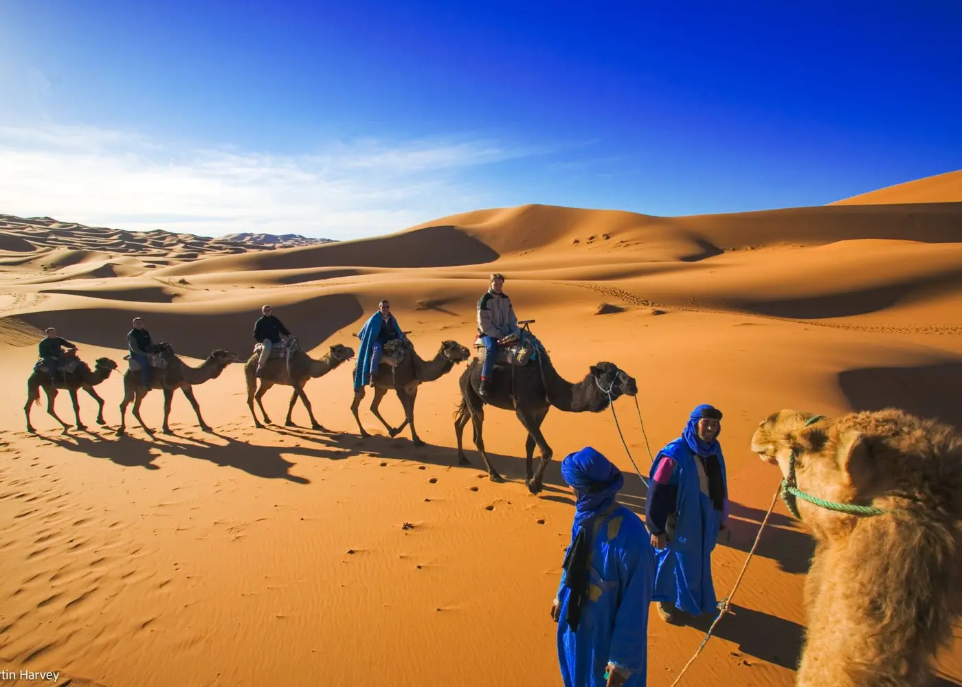 Golden dunes near Merzouga in the Sahara