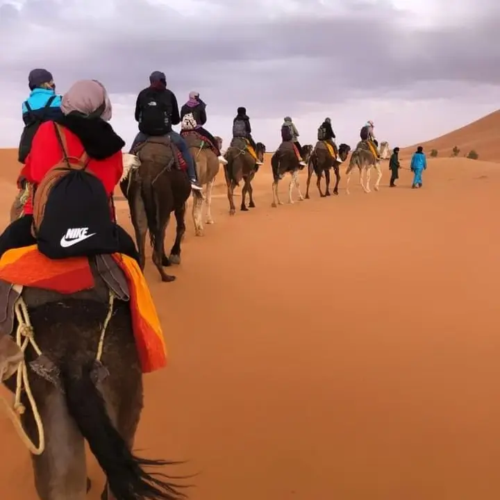 Colourful scene discovered during a Morocco tour